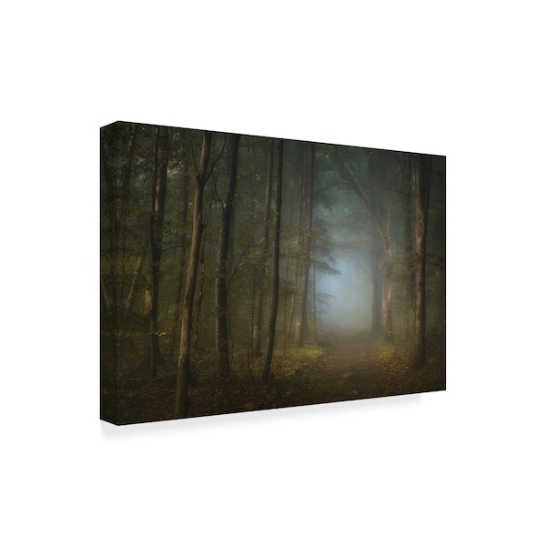 Norbert Maier 'Forest Pathway' Canvas Art,30x47